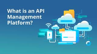 API Management Platform